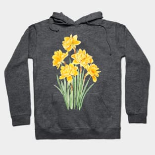 golden daffodils flowers with leaf watercolor Hoodie